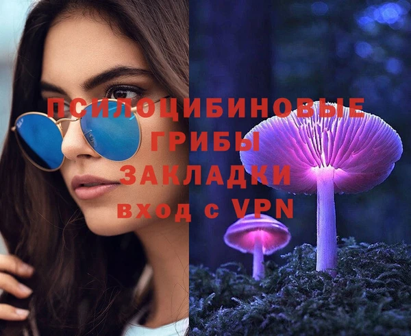 МДПВ Магас